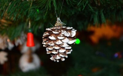Fairytrees Weihnachtsbaum